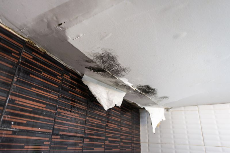 Ceiling Leak Repair Service in Denver, CO