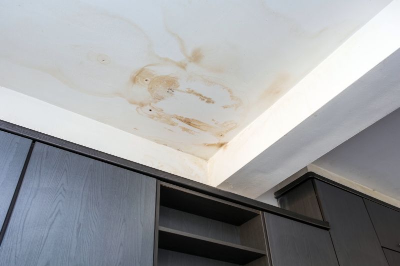 Ceiling Leak Repair Service in Littleton, CO